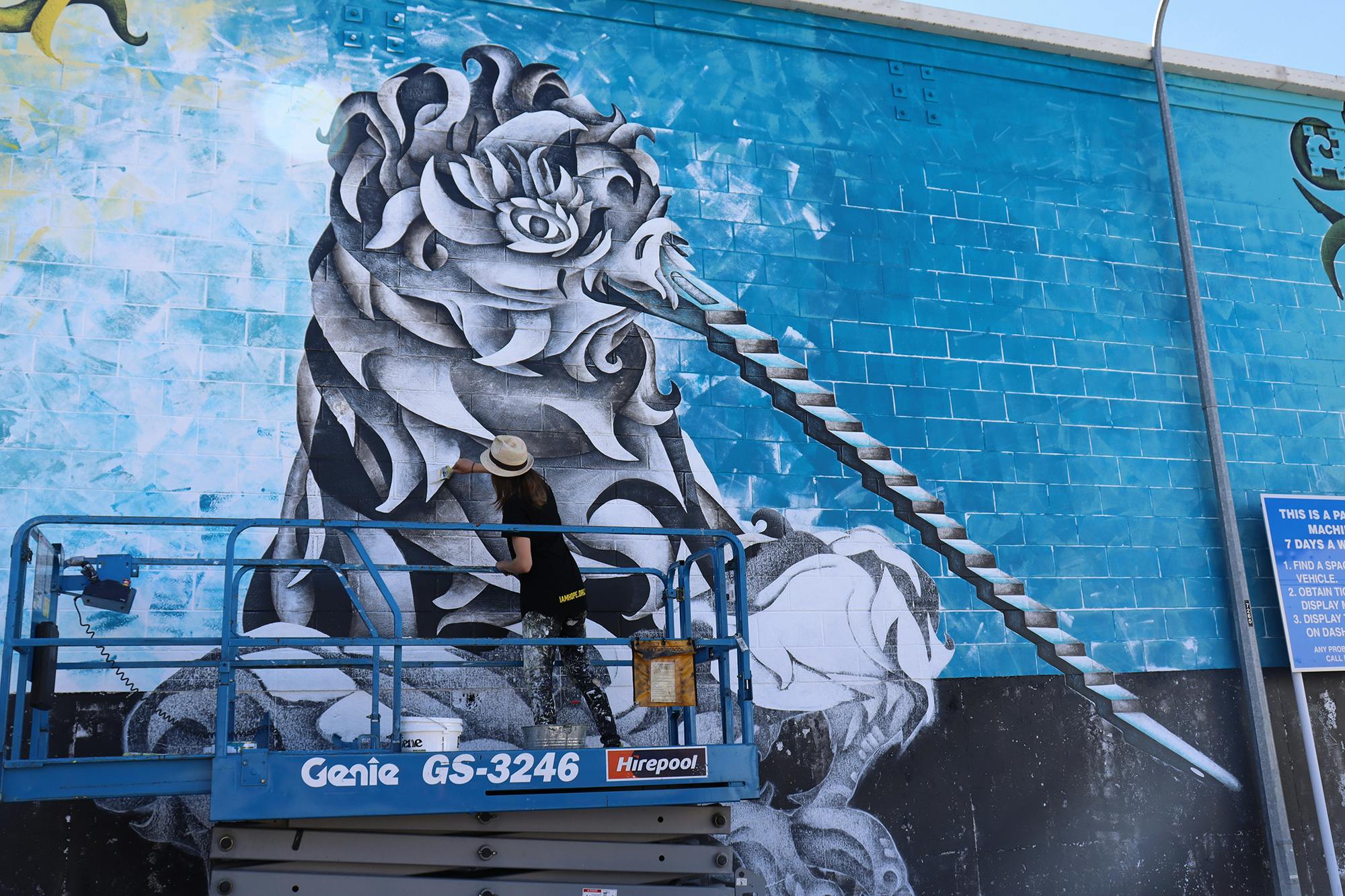 Rejuvenate mural i am hope charity queenstown kiwi bird nz street art